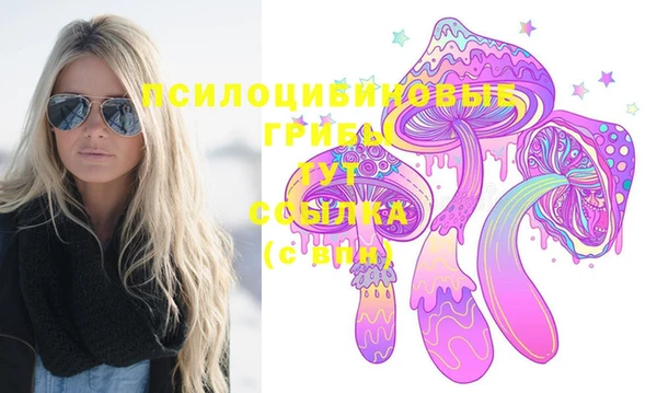тгк Арсеньев