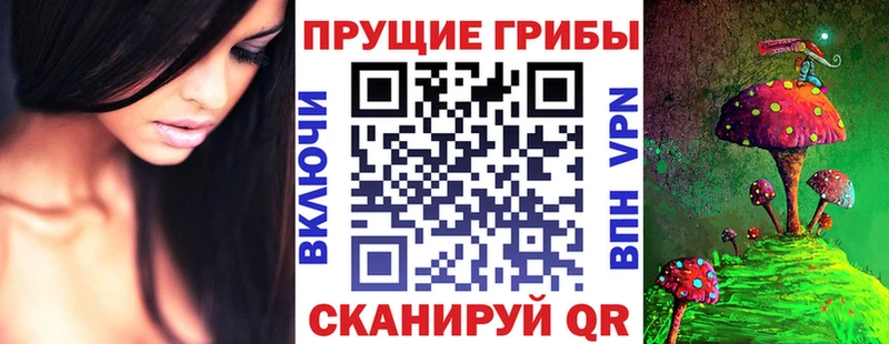 где продают   Нововоронеж  Галлюциногенные грибы MAGIC MUSHROOMS 